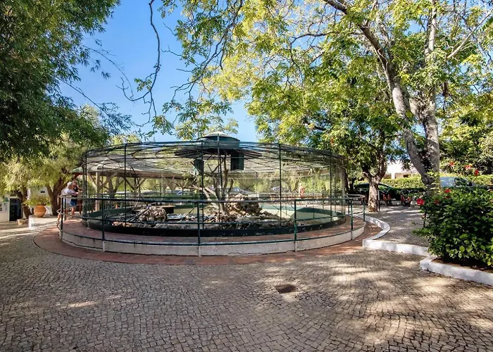 Terrace 19b Santa Luzia (Tavira)